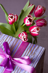 Similar image 1783315