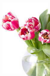 Similar image 1783318