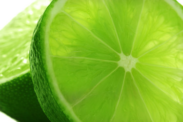 Similar image 1783348