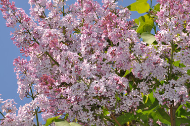 Similar image 1783366