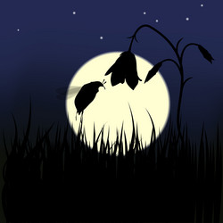 Similar image 1783382