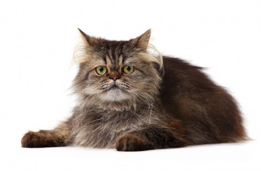 Similar image 1783527