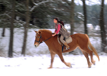 Similar image 1783594