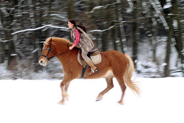 Similar image 1783595