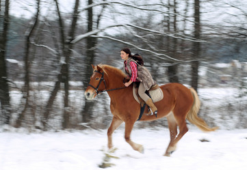 Similar image 1783598