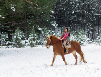 Similar image 1783609