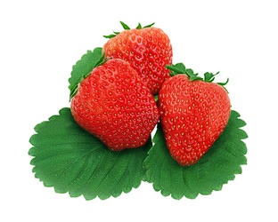 Similar image 1783688