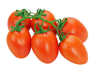 Similar image 1783697