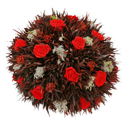 Similar image 1783703