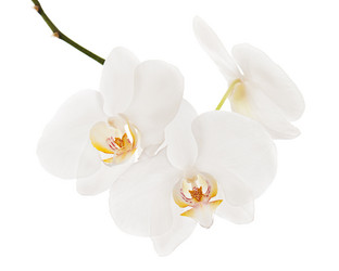 Similar image 1783743