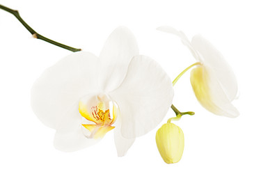 Similar image 1783764