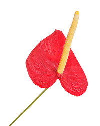 Similar image 1783766