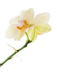 Similar image 1783781