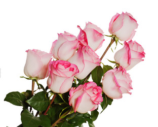 Similar image 1783782