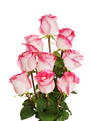 Similar image 1783783