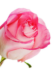 Similar image 1783786