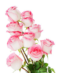 Similar image 1783787