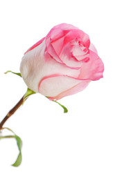 Similar image 1783788