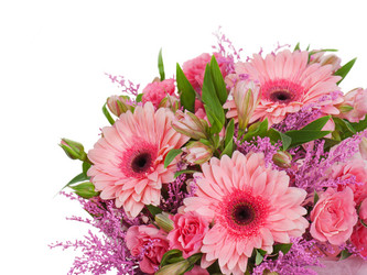 Similar image 1783796