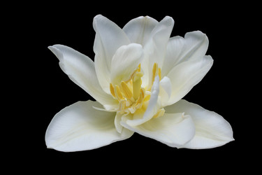 Similar image 1784484