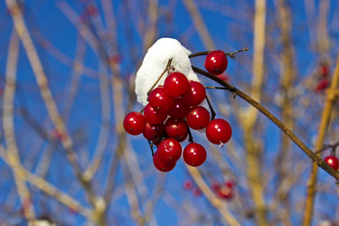 Similar image 1784486