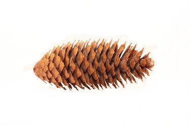 Similar image 1784489