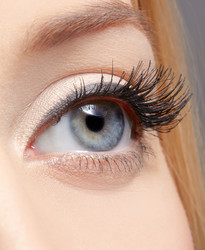 Similar image 1784718