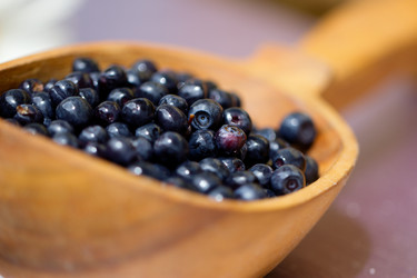 Similar image 1784880