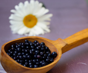 Similar image 1784881