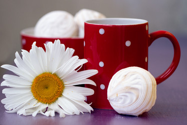 Similar image 1784888