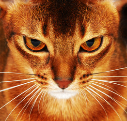 Similar image 1784926