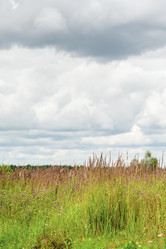 Similar image 1785064