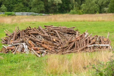 Similar image 1785091