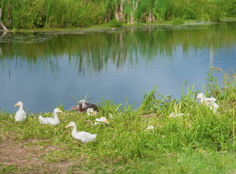 Similar image 1785092