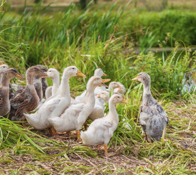 Similar image 1785094