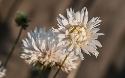 Similar image 1785097