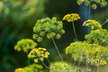 Similar image 1785099