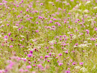 Similar image 1785100