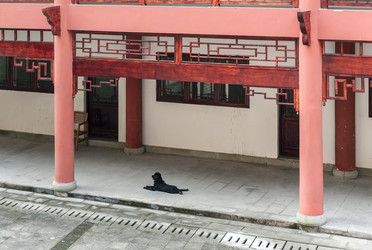 Similar image 1785113