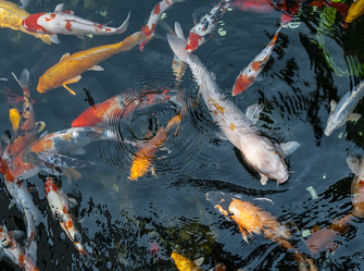 Similar image 1785158