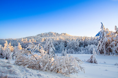 Similar image 1785169