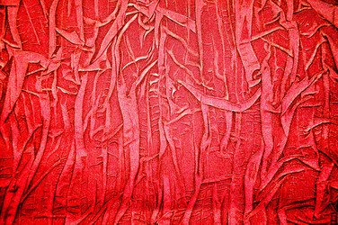 Similar image 1785200