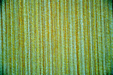 Similar image 1785204