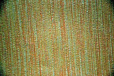 Similar image 1785208