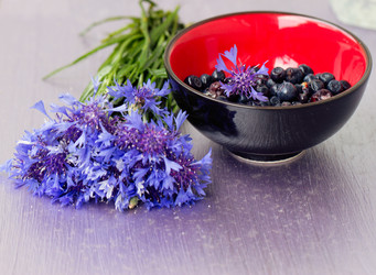 Similar image 1785225