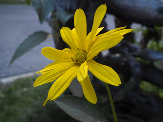 Similar image 1785246