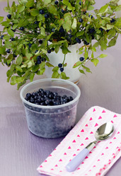 Similar image 1785248