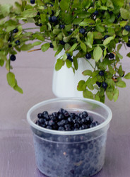 Similar image 1785251