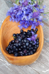 Similar image 1785254