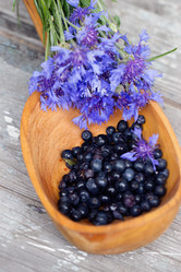 Similar image 1785255